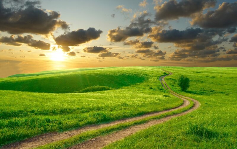 Winding Dirt Path — Green, Serene, Sunset, Photograph, Green Hills