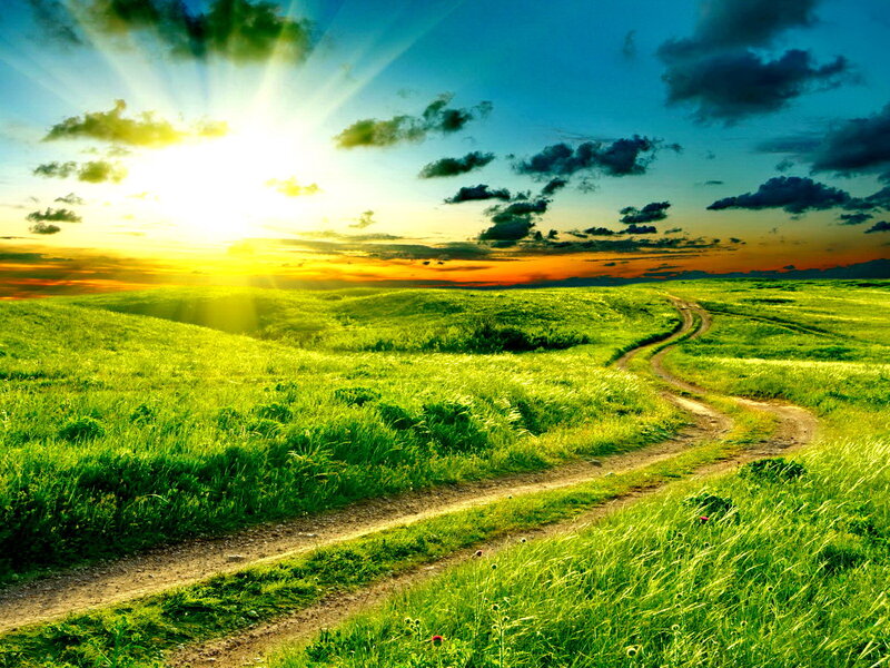 Winding Dirt Path — Green, Serene, Sunset, Photograph