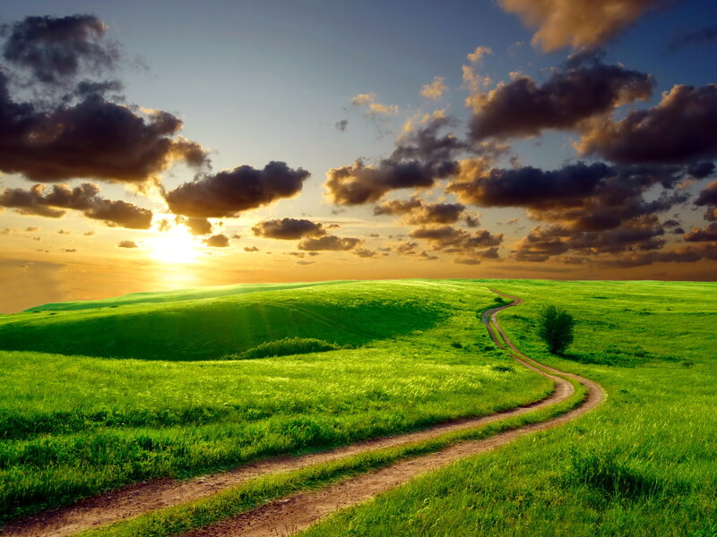 Winding Dirt Path — Green, Serene, Sunset