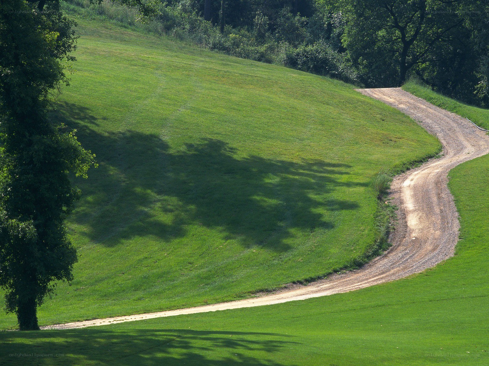 Winding dirt path through green hills