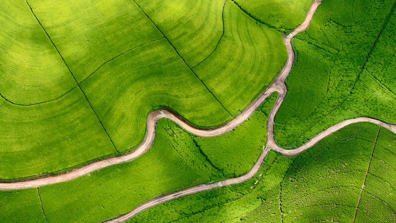 Winding Dirt Road — Green, Serene, Afternoon, Photograph, Green Fields