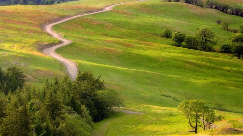 Winding Dirt Road — Green, Serene, Afternoon, Photograph, Hills