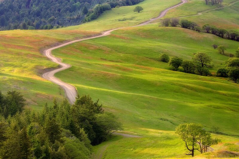 Winding Dirt Road — Green, Serene, Afternoon, Photograph, Hills, Trees