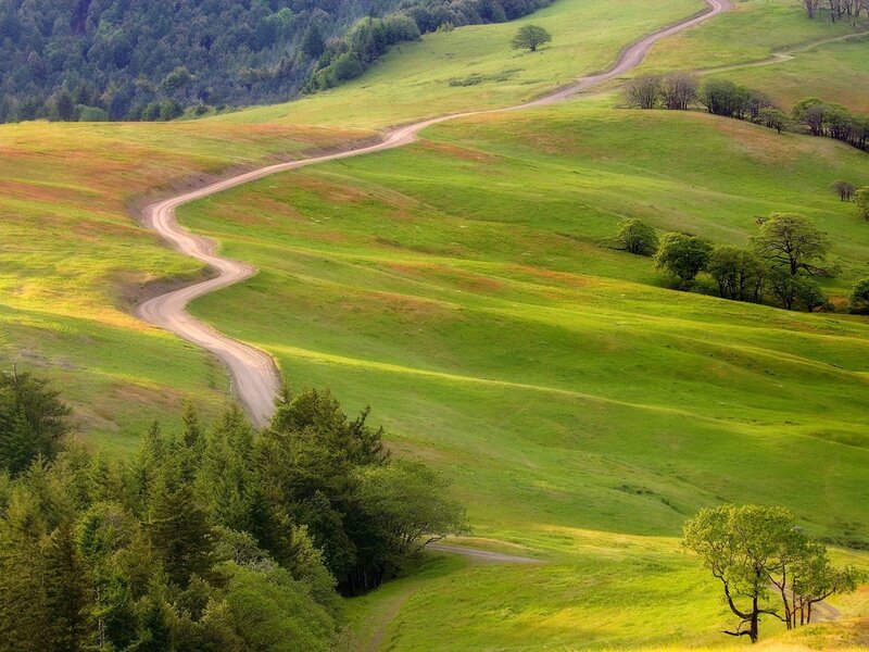 Winding Dirt Road — Green, Serene, Afternoon