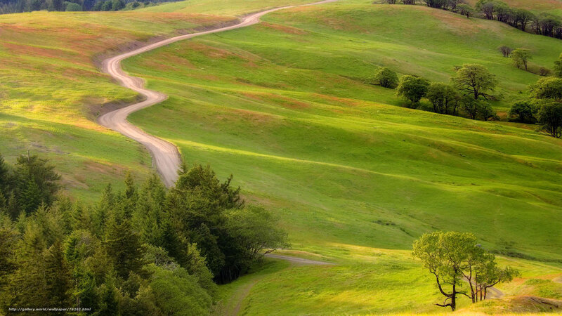 Winding Dirt Road — Green
