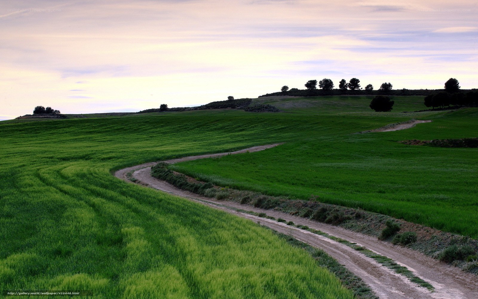 Winding dirt road through green fields