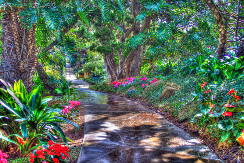 Winding Garden Path — Green, Serene, Afternoon, Photograph