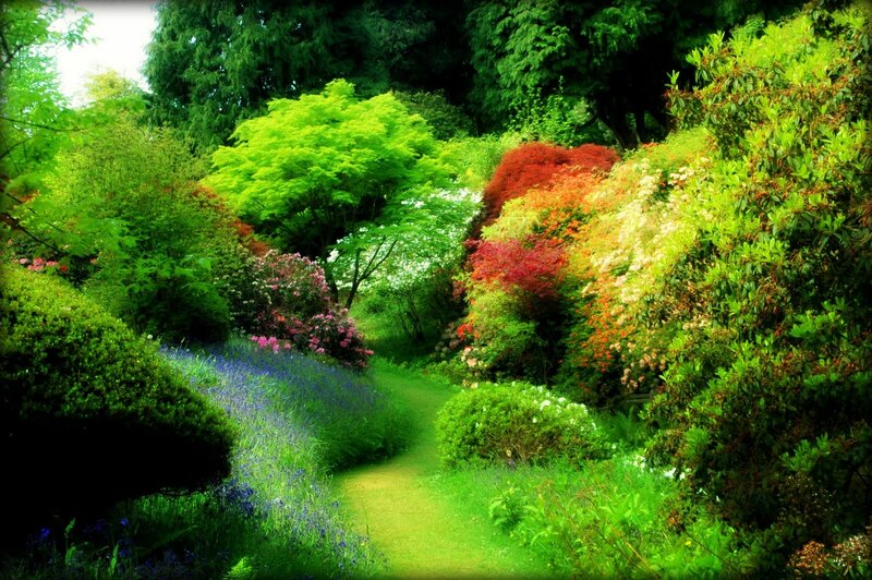 Winding Garden Path — Green, Serene