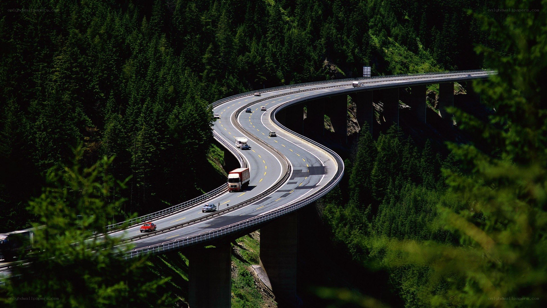 Winding highway through forest