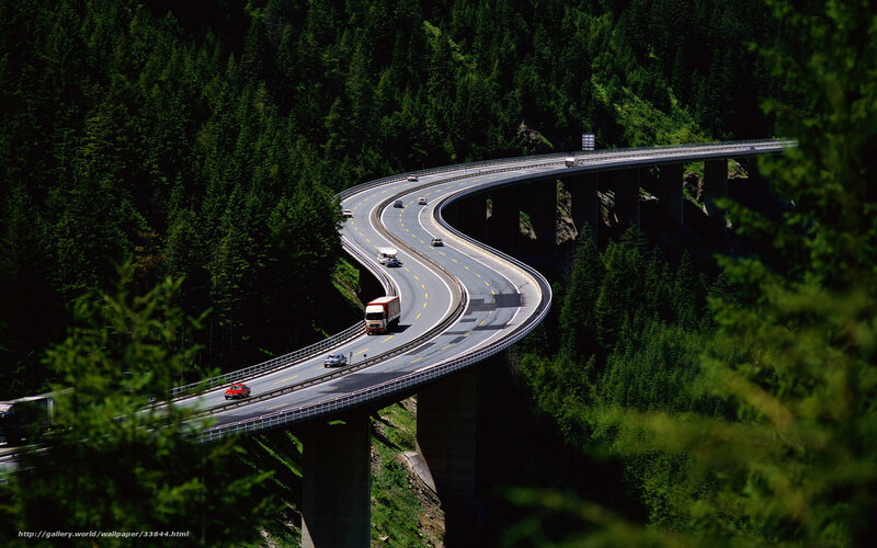 Winding highway through forest