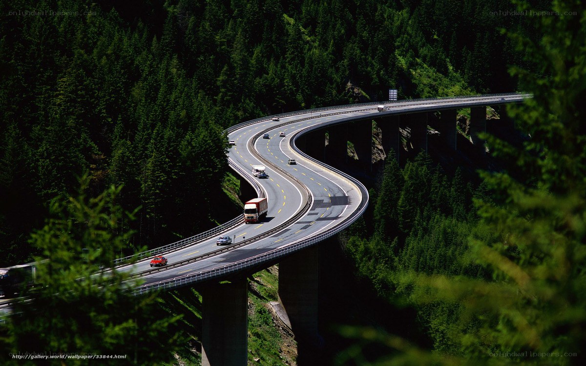 Winding highway through forest
