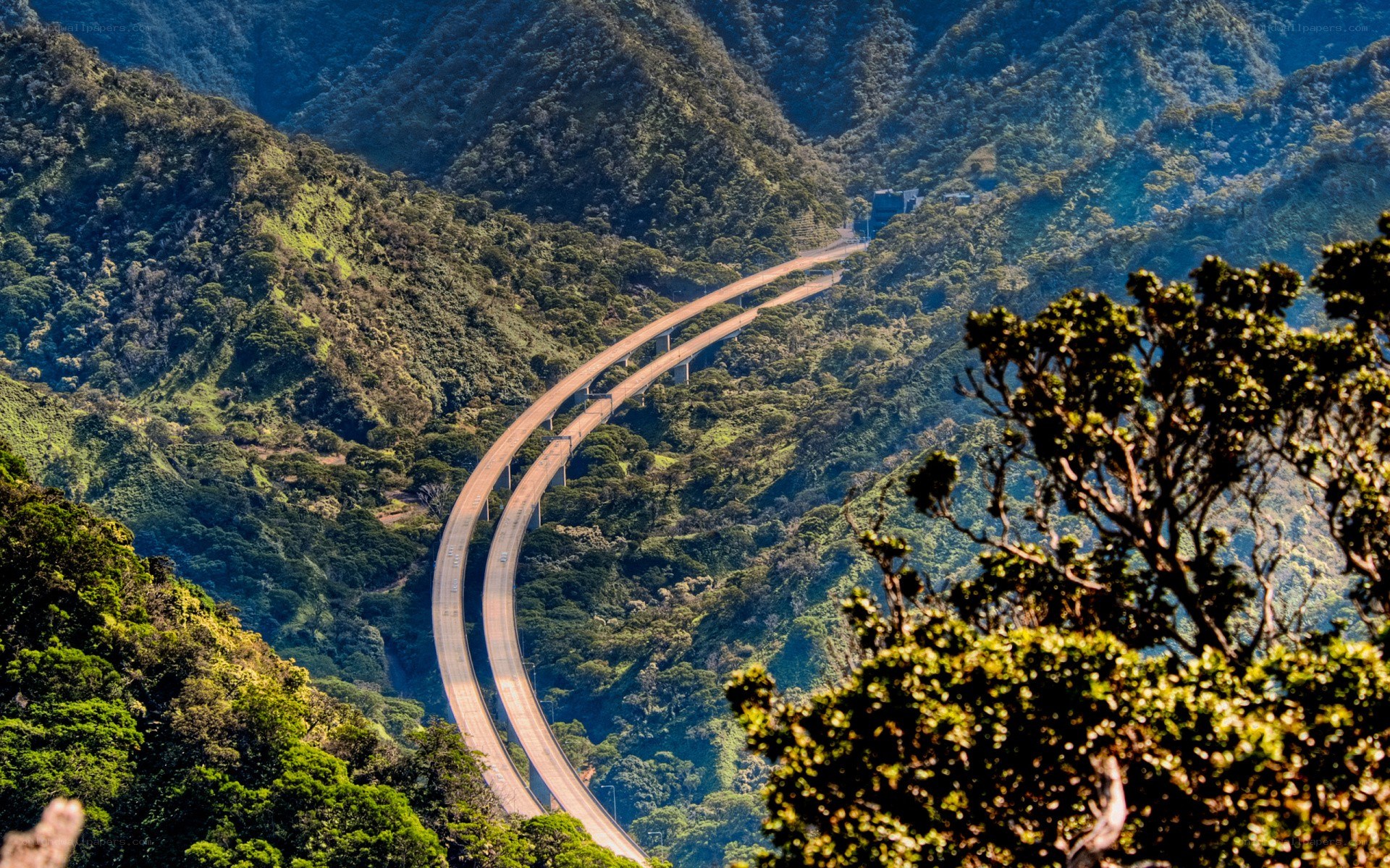 Winding highway through lush mountains