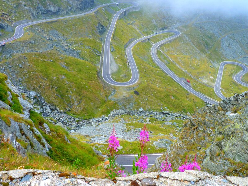 Winding Mountain Road — Green, Misty