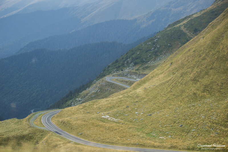 Winding Mountain Road — Green, Serene, Afternoon, Photograph, Forest, Valley