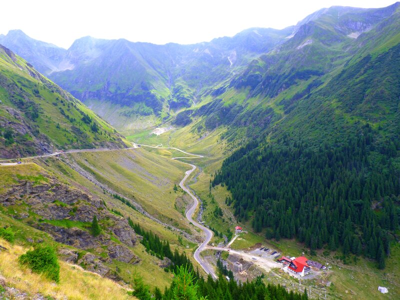 Winding Mountain Road — Green, Serene, Afternoon, Photograph, Valley, Forest