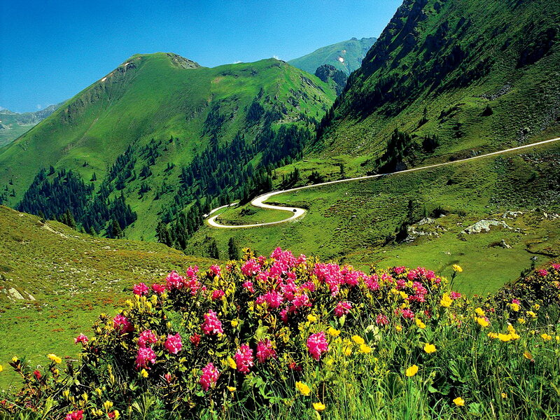 Winding Mountain Road — Green, Serene, Summer