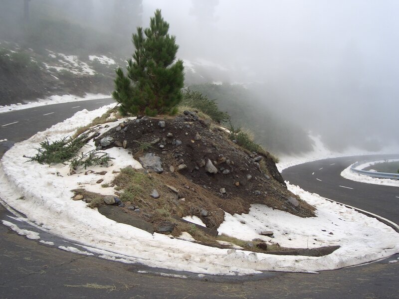 Winding mountain road in fog