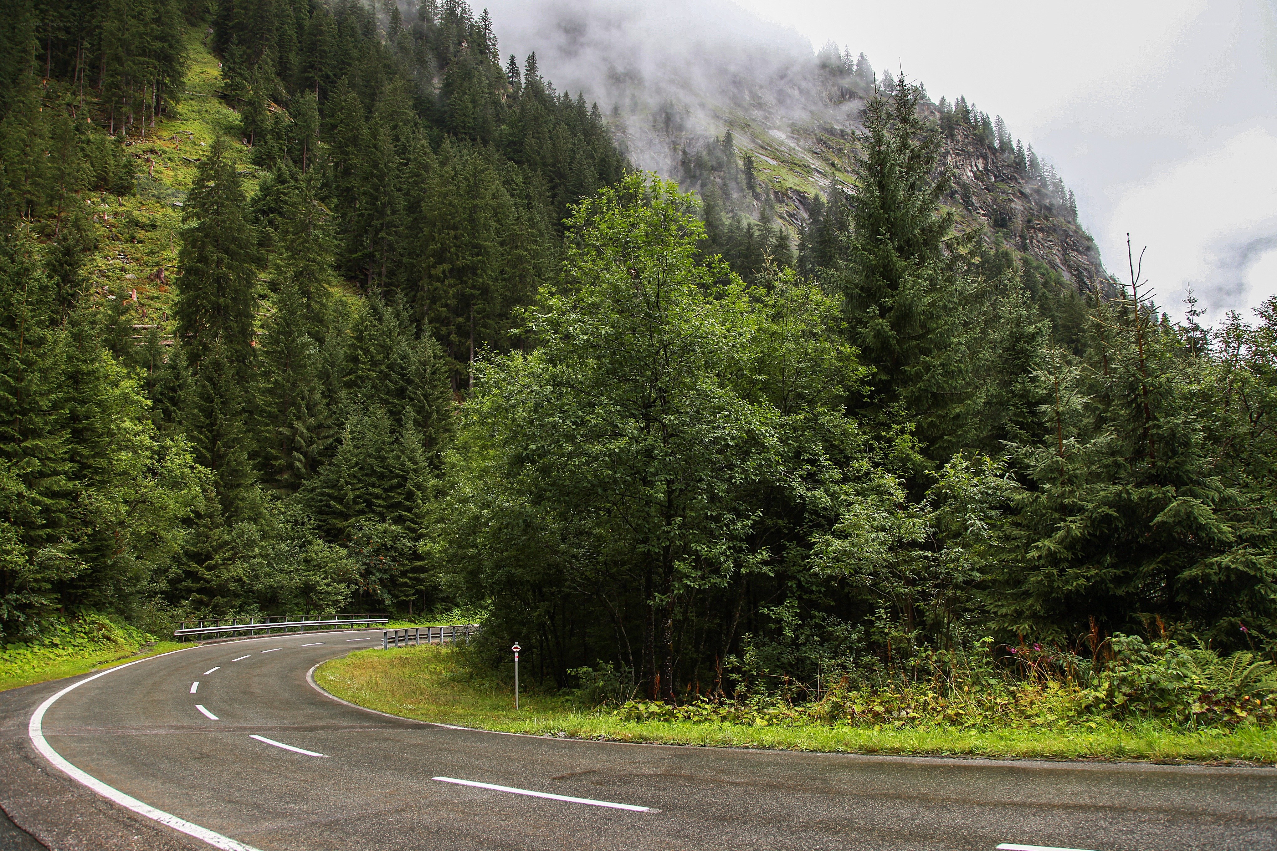 Winding mountain road through forest