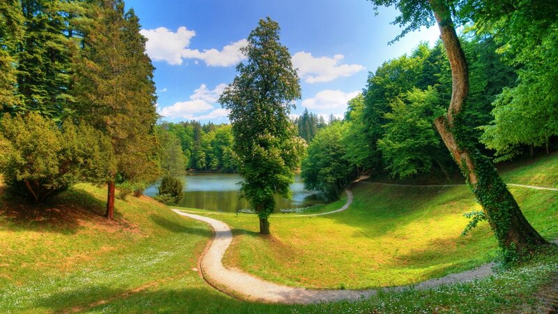 Winding Path by Lake — Green, Serene, Afternoon