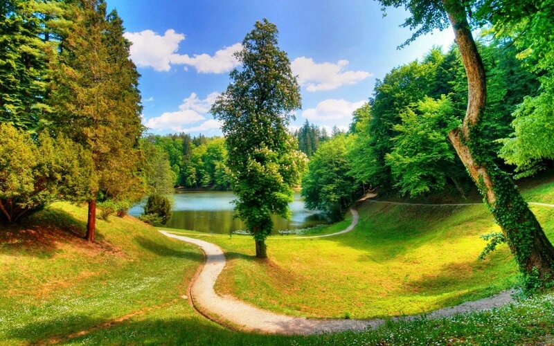 Winding Path by Lake — Green, Serene