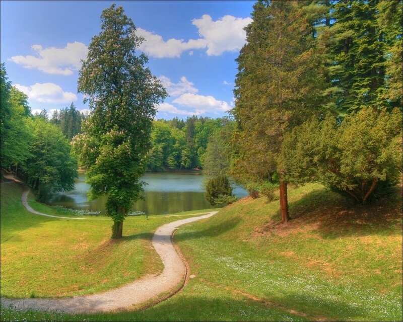 Winding Path by Lake — Green