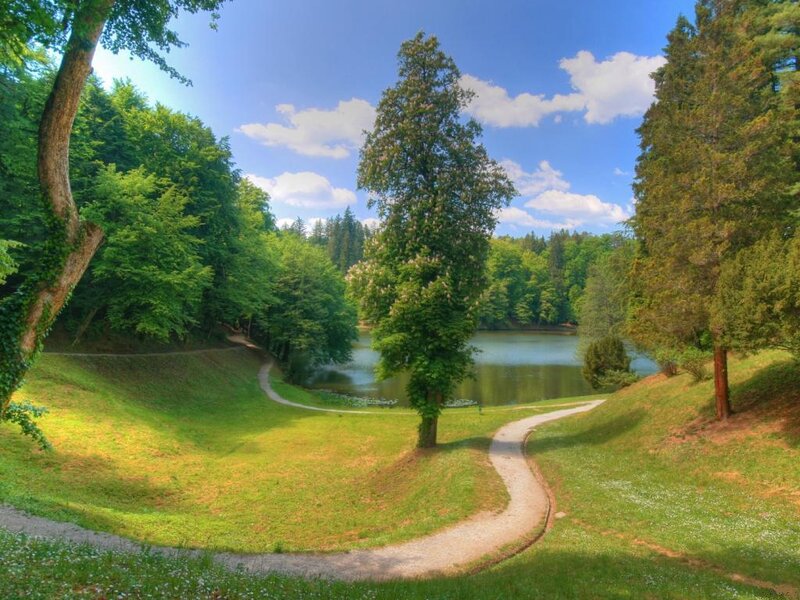 Winding Path by Lake