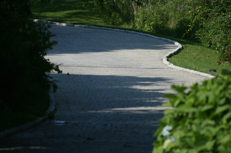 Winding path in a park