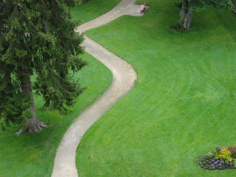 Winding path in a park