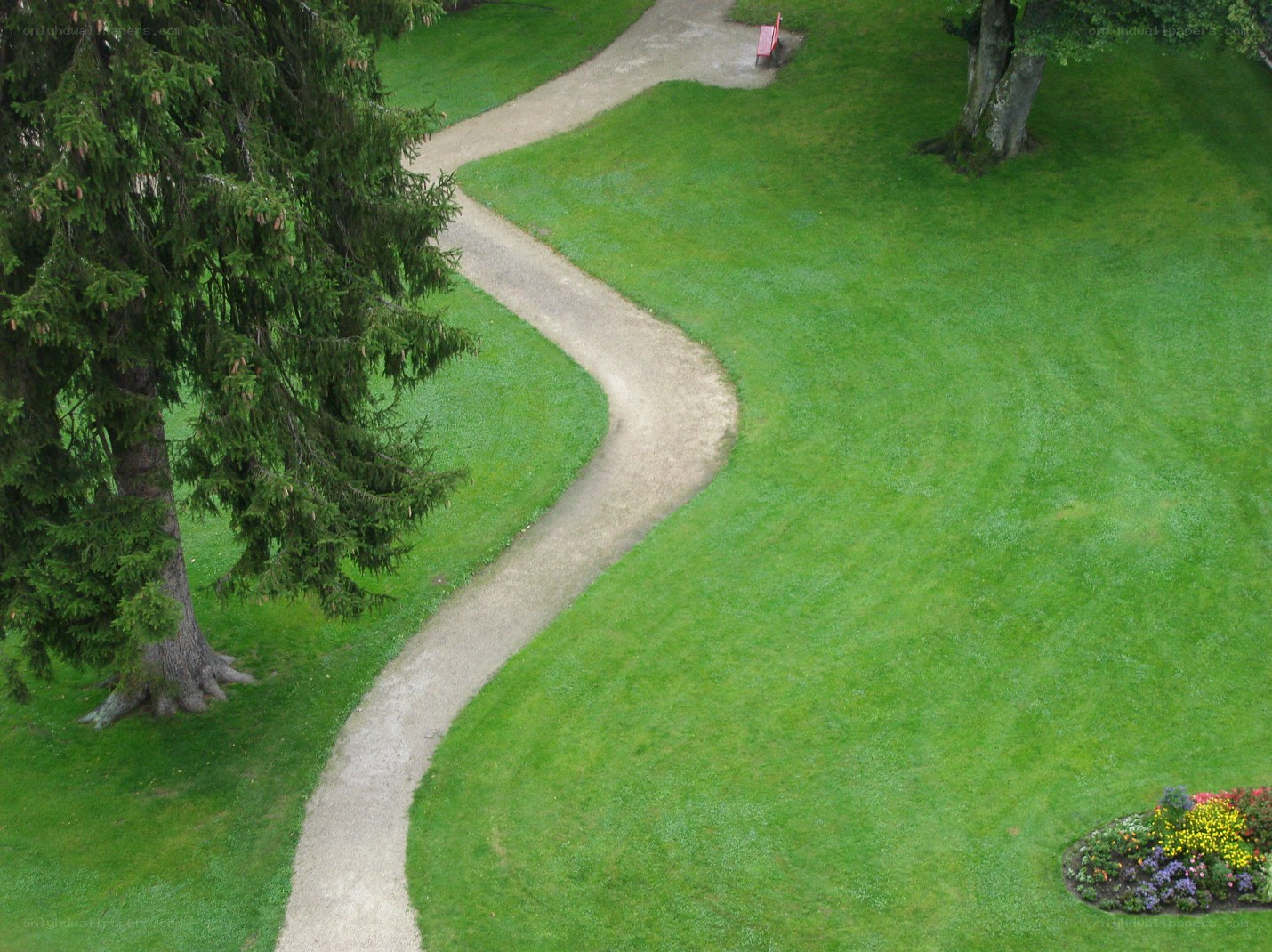 Winding path in a park