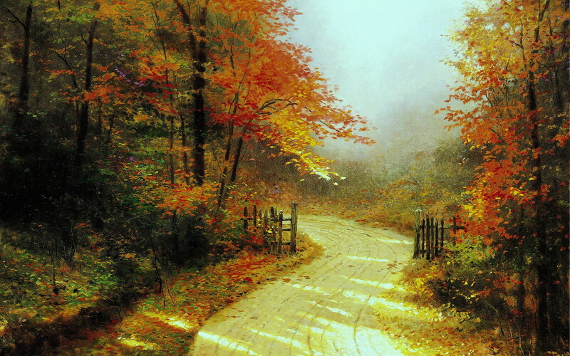 Winding Path in Autumn Forest — Orange, Serene