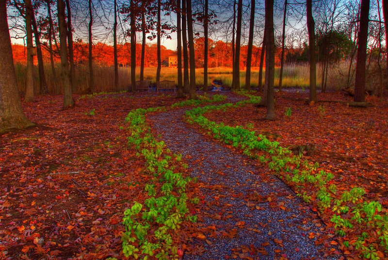 Winding Path in Autumn Forest — Red