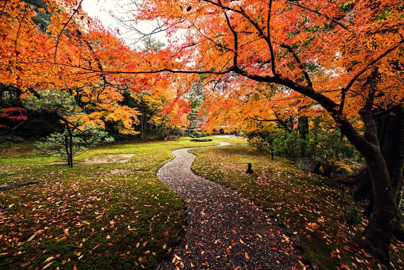 Winding Path in Autumn Garden
