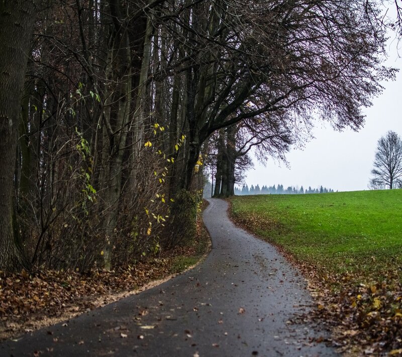 Winding Path in Autumn — Green, Serene