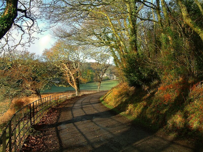 Winding Path in Autumn — Green