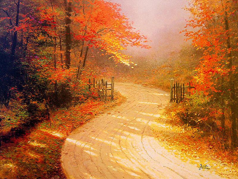Winding Path in Autumn — Orange