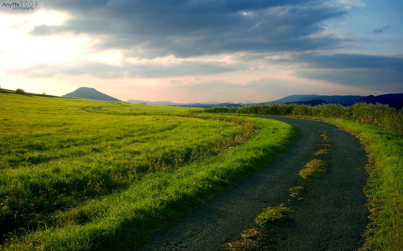 Winding Path in Field — Green