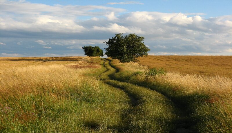 Winding Path in Field