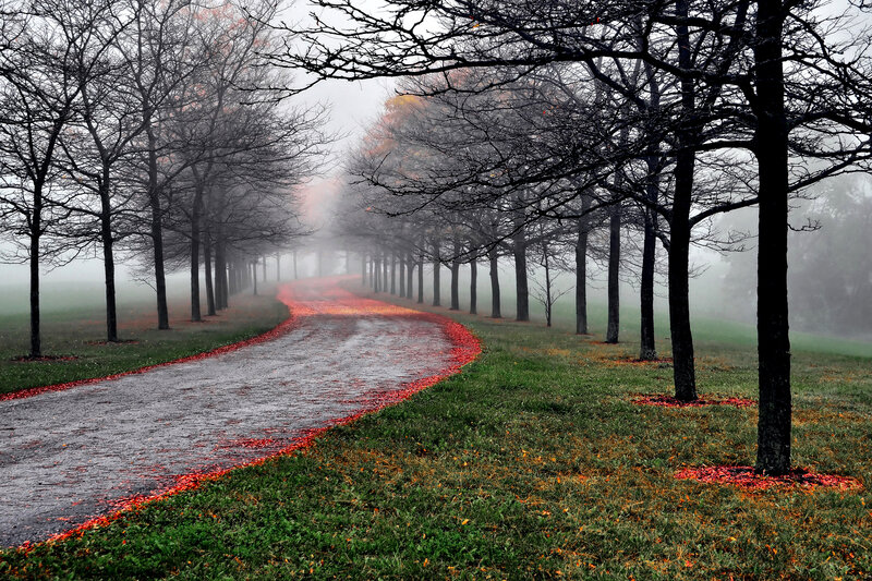 Winding Path in Fog