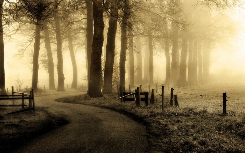 Winding Path in Foggy Forest — Sepia