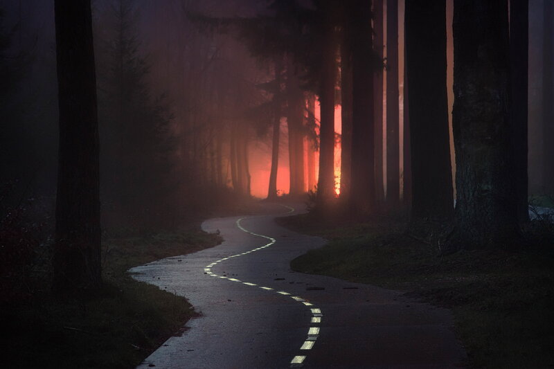 Winding Path in Forest — Black, Mysterious