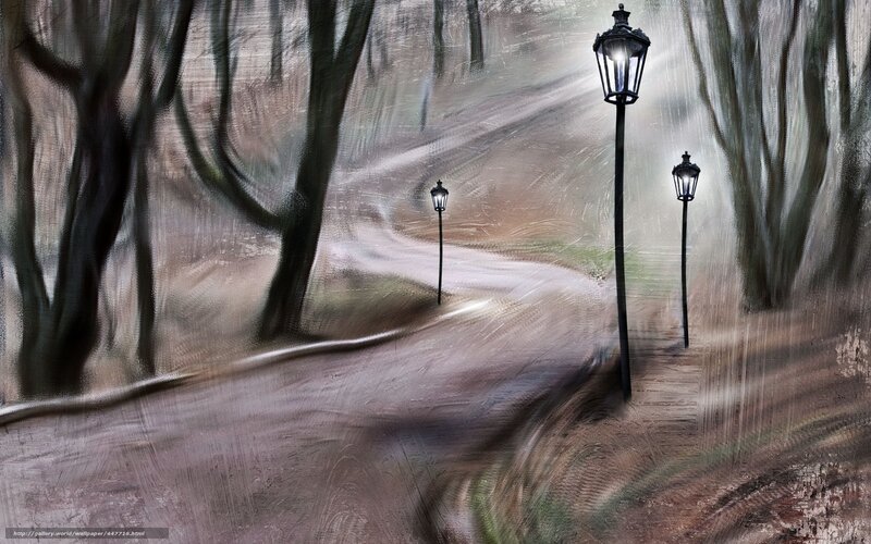 Winding Path in Forest — Brown, Mysterious, Night