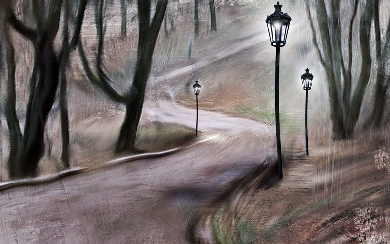 Winding Path in Forest — Brown, Mysterious