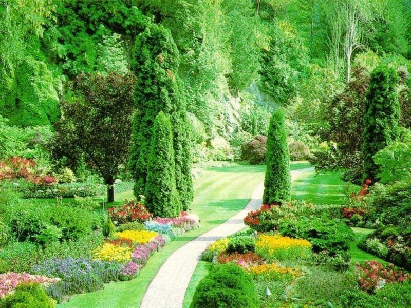 Winding Path in Garden — Green, Serene, Afternoon