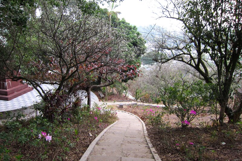 Winding Path in Garden — Green, Serene, Spring, Photograph