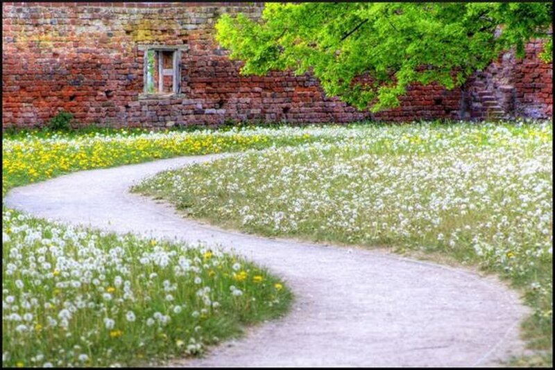 Winding Path in Garden — Green, Serene, Spring