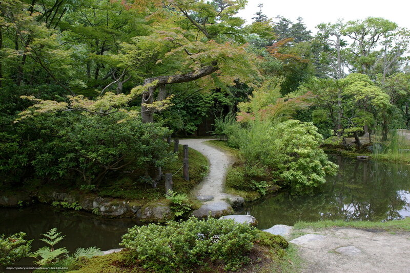 Winding Path in Garden — Green, Serene, Summer