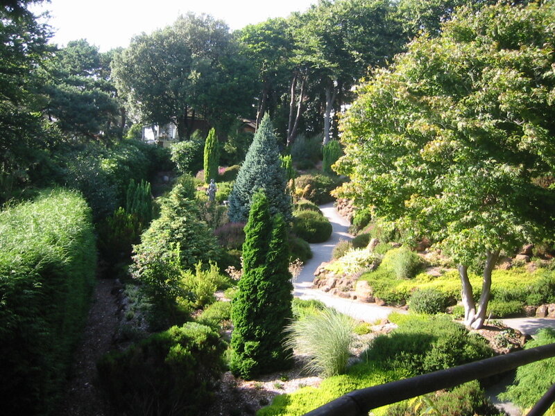 Winding Path in Garden — Green, Serene