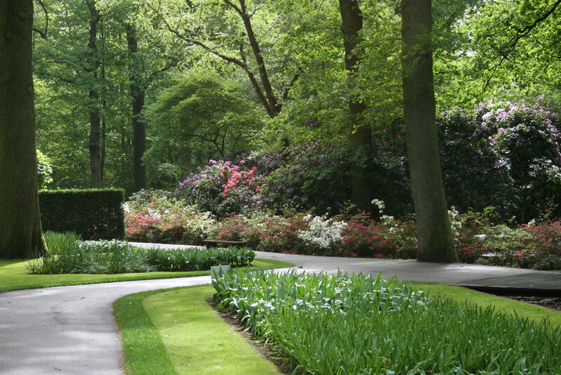 Winding Path in Garden — Green