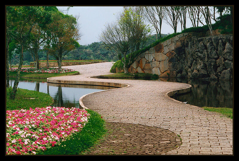 Winding Path in Garden