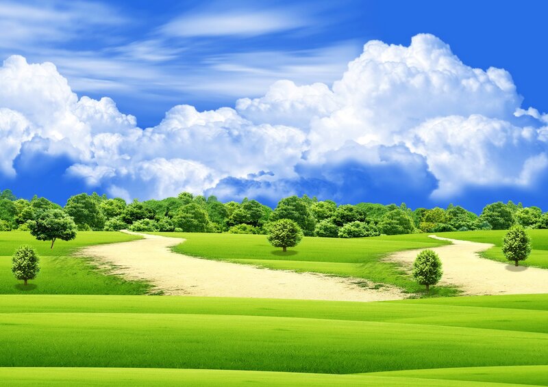 Winding Path in Green Field — Serene